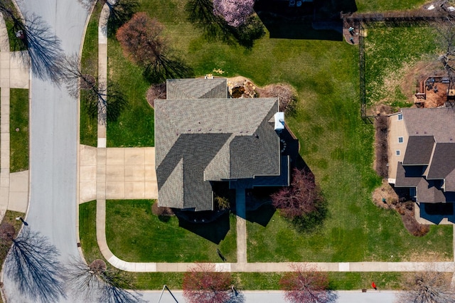 bird's eye view