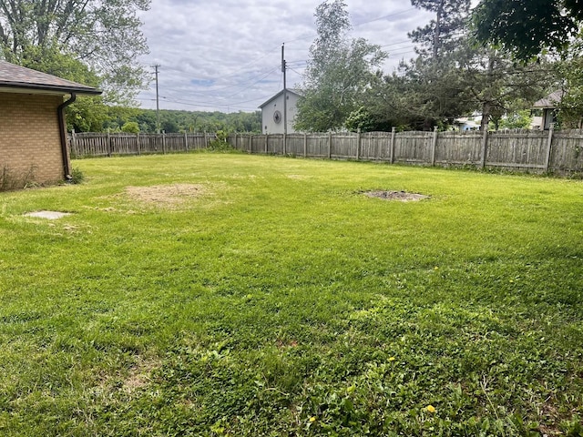 1320 N Il Rte 2, Oregon, IL 61061 - view of yard