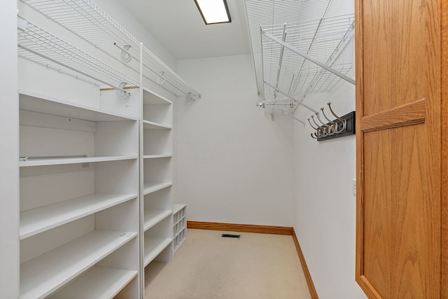 walk in closet featuring carpet floors