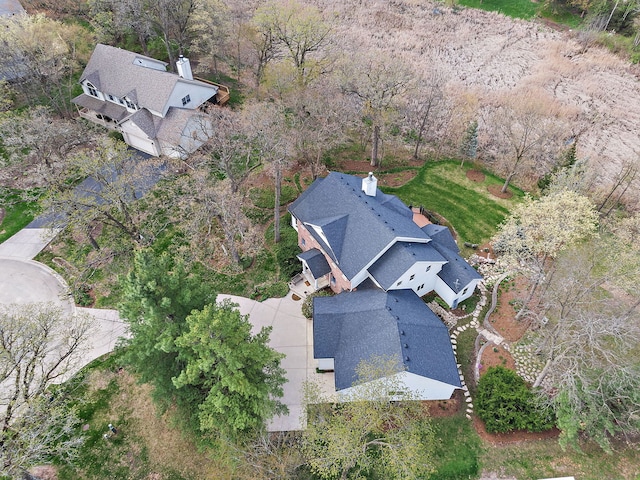 bird's eye view