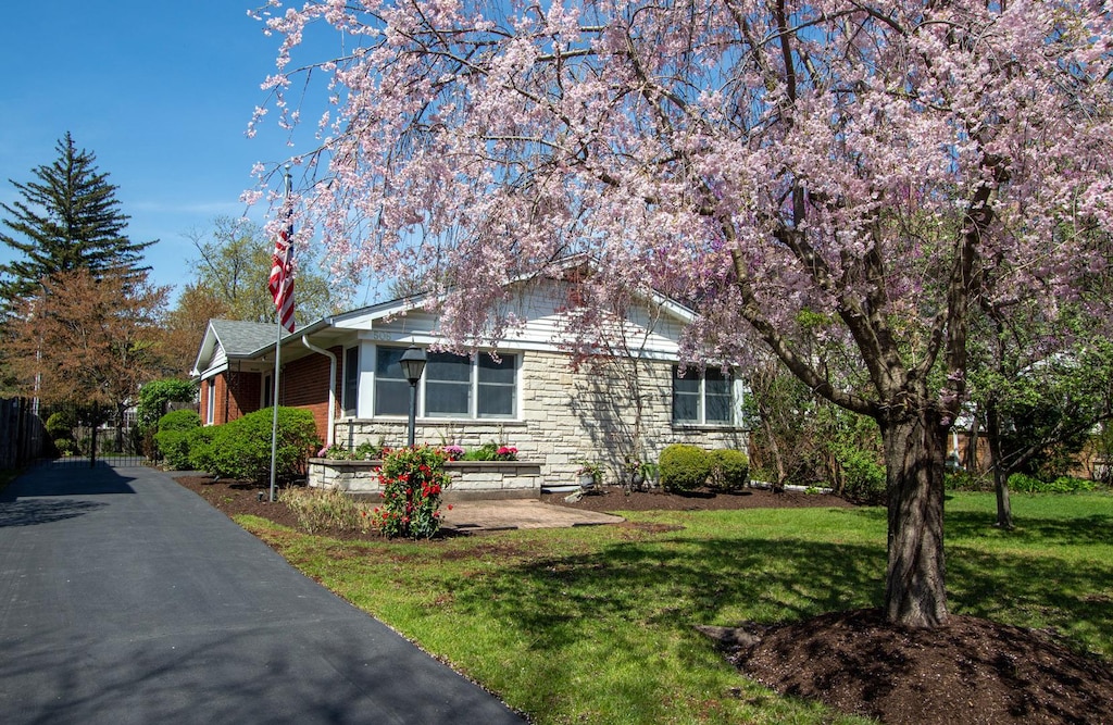 508 William St, River Forest, IL 60305 - view of front of home with driveway, stone siding, and a front lawn