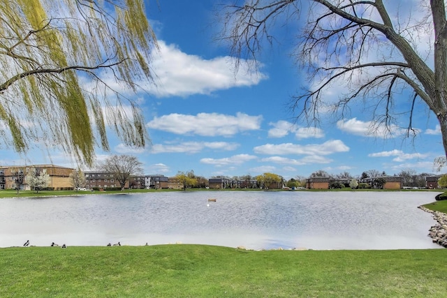 property view of water
