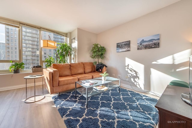 living area featuring baseboards and wood finished floors