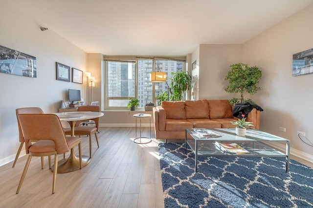 living area featuring baseboards and wood finished floors