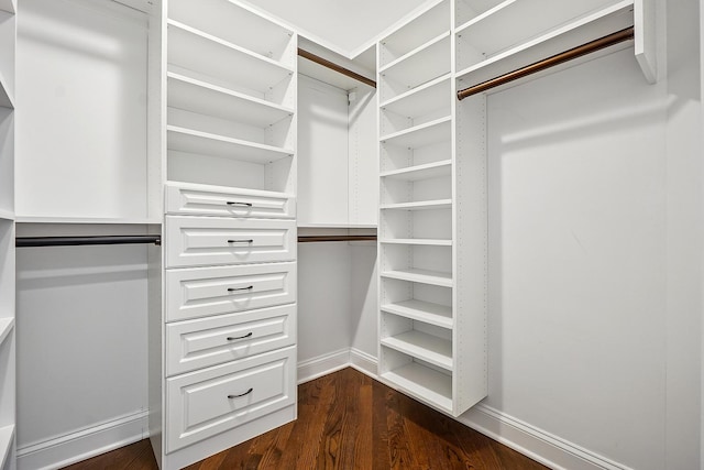 spacious closet with dark wood-style flooring