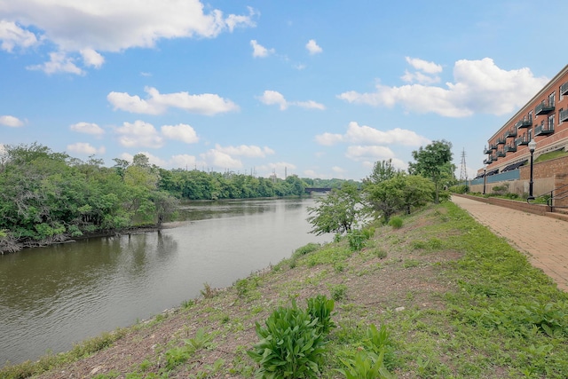 140 S River St Unit 409, Aurora, IL 60506 - property view of water