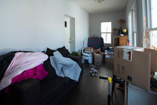 interior space with wood finished floors