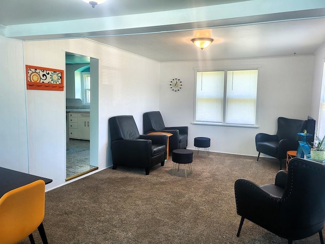 517 E Cleveland St, Spring Valley, IL 61362 - photo 7