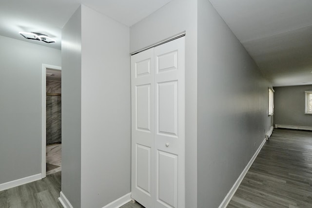 212A Collen Dr Unit 104, Lombard, IL 60148 - hallway featuring baseboards, a baseboard radiator, and wood finished floors
