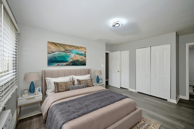 212A Collen Dr Unit 104, Lombard, IL 60148 - bedroom with two closets, wood finished floors, and baseboards