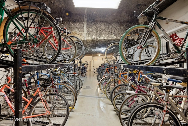 2400 N Lakeview Ave Unit 901, Chicago, IL 60614 - garage with bike storage
