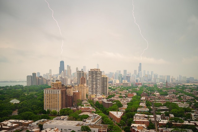 2400 N Lakeview Ave Unit 901, Chicago, IL 60614 - city view