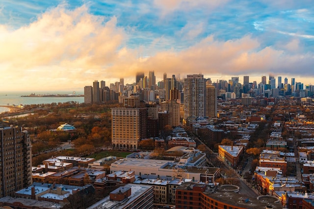 2400 N Lakeview Ave Unit 901, Chicago, IL 60614 - city view featuring a water view