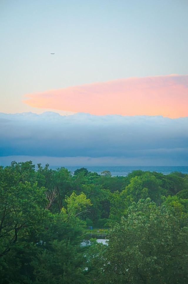 2400 N Lakeview Ave Unit 901, Chicago, IL 60614 - exterior space with a water view and a forest view