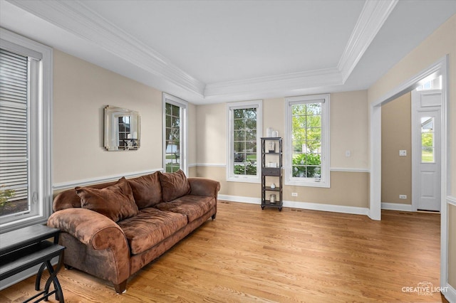 16432 S Harmon Ln, Plainfield, IL 60586 - living area with a tray ceiling, light wood-type flooring, ornamental molding, and baseboards