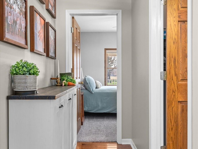 445 S Depot St, Somonauk, IL 60552 - hallway featuring wood finished floors and baseboards