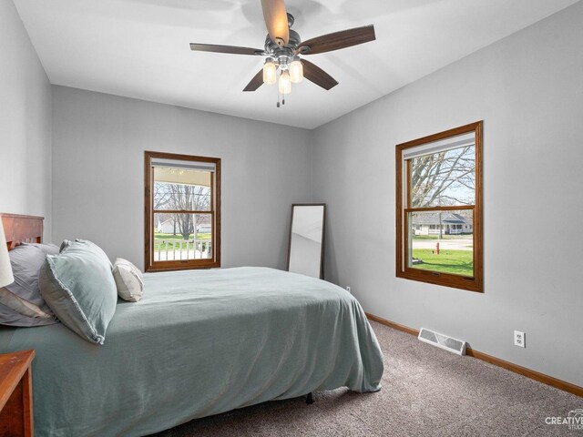 445 S Depot St, Somonauk, IL 60552 - carpeted bedroom with visible vents, baseboards, multiple windows, and a ceiling fan