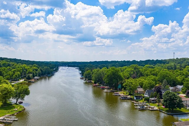 drone / aerial view featuring a water view and a wooded view