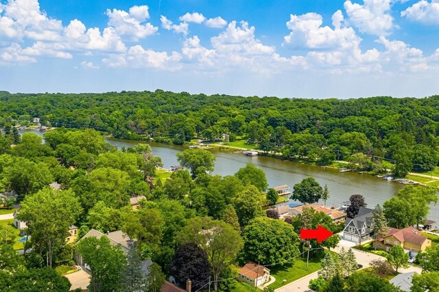 aerial view with a water view and a view of trees