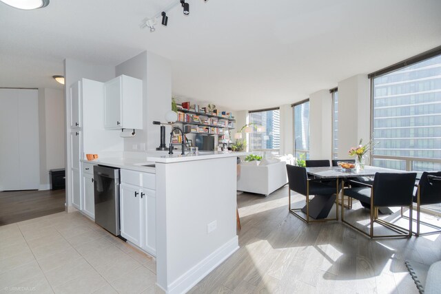 222 N Columbus Dr Unit 1509, Chicago, IL 60601 - kitchen featuring dishwasher, white cabinets, a sink, and light countertops