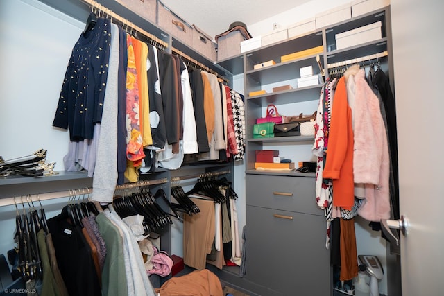 222 N Columbus Dr Unit 1509, Chicago, IL 60601 - view of walk in closet