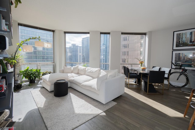 222 N Columbus Dr Unit 1509, Chicago, IL 60601 - living room featuring a view of city, a wealth of natural light, and dark wood-style floors