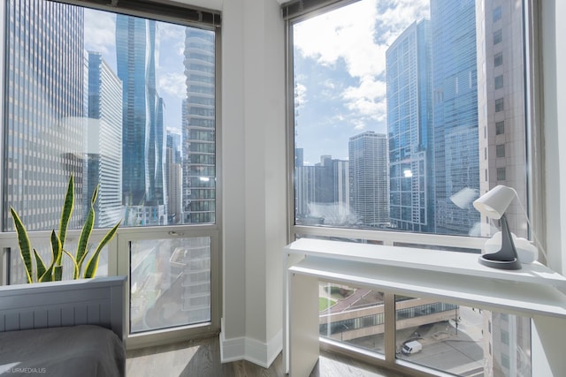 222 N Columbus Dr Unit 1509, Chicago, IL 60601 - interior space featuring a view of city, wood finished floors, and baseboards