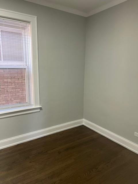 spare room featuring dark wood-type flooring, ornamental molding, and baseboards