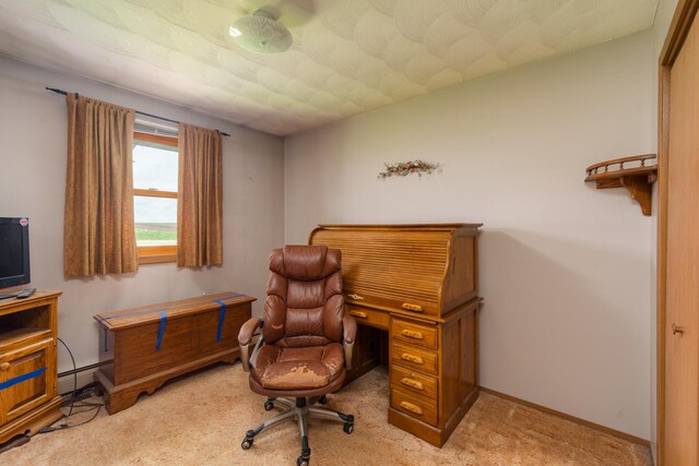 3449 E Cleveland St, Ladd, IL 61329 - office area featuring light colored carpet, baseboards, and baseboard heating