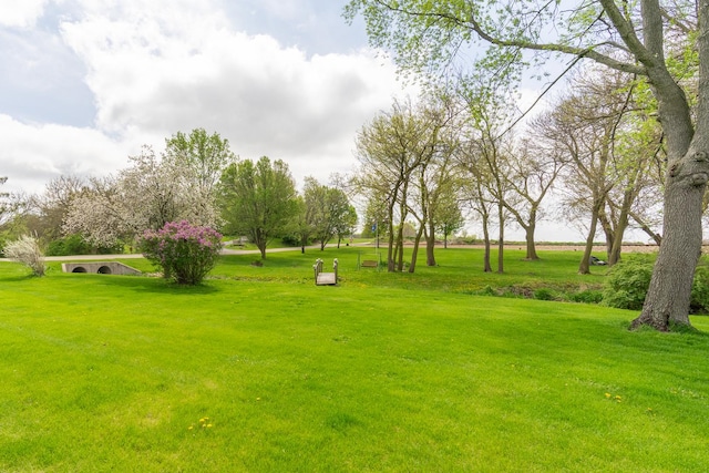 3449 E Cleveland St, Ladd, IL 61329 - view of yard