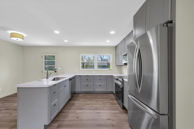 kitchen with light wood-type flooring, a sink, appliances with stainless steel finishes, and gray cabinets
