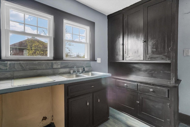 kitchen featuring decorative backsplash, wood finished floors, a sink, and dark cabinetry