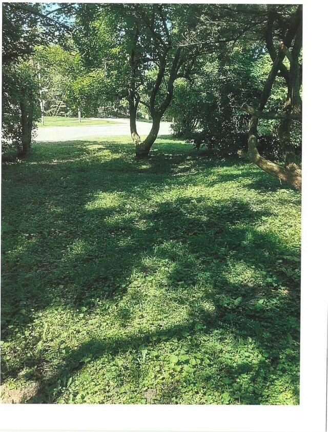 5848 Clarendon Hills Rd, Clarendon Hills, IL 60514 - photo 3