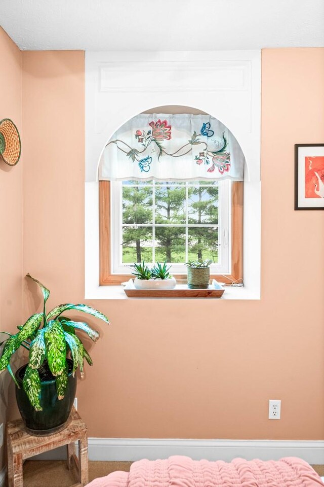 room details with baseboards