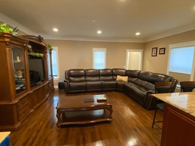 living area with dark wood-style flooring, ornamental molding, and recessed lighting