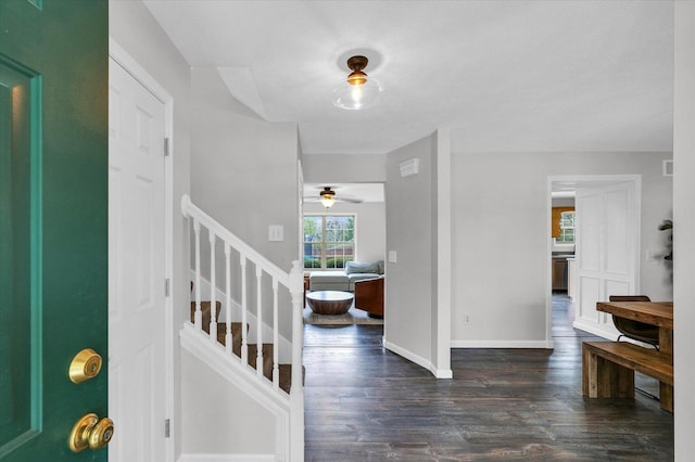 3410 Waterville Ct, Champaign, IL 61822 - entrance foyer featuring dark wood finished floors, stairway, baseboards, and ceiling fan
