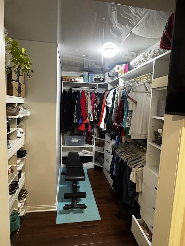 walk in closet featuring wood finished floors