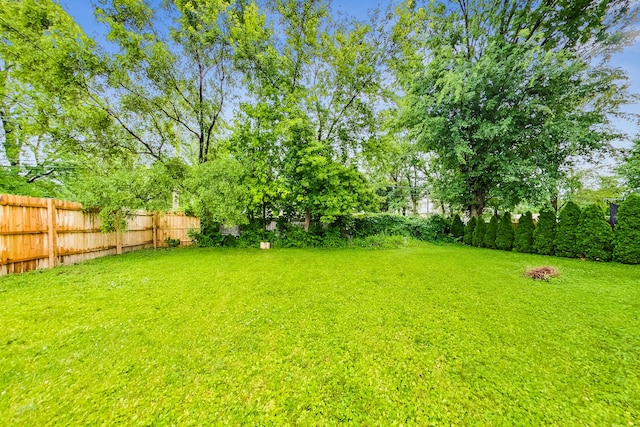 2609 Eisenhower Dr, Des Plaines, IL 60018 - view of yard
