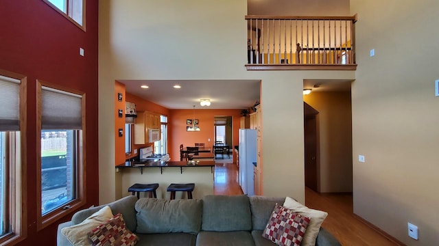 living room featuring baseboards, wood finished floors, and a high ceiling