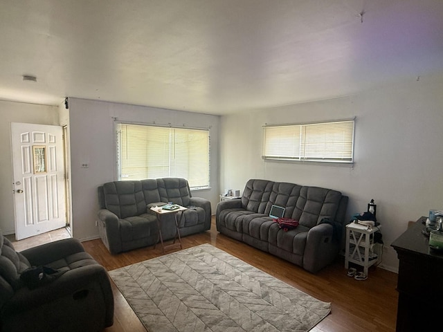 living room featuring wood finished floors and a wealth of natural light