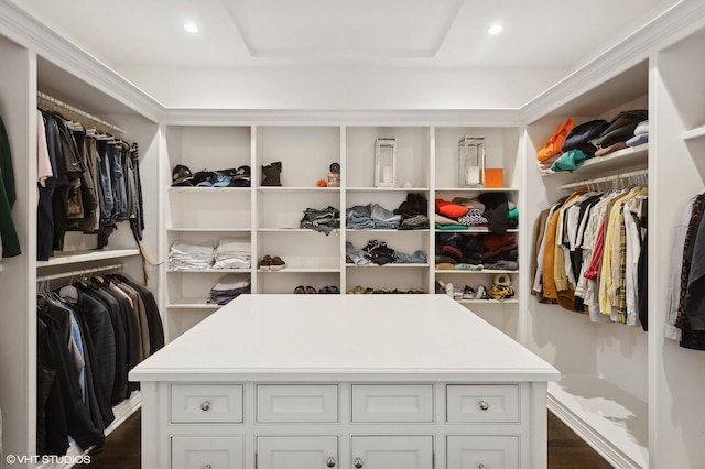 view of walk in closet