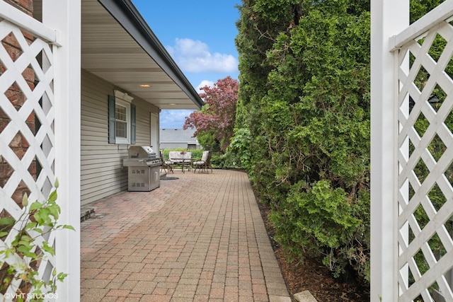 1115 S Vail Ave, Arlington Heights, IL 60005 - view of patio / terrace featuring area for grilling