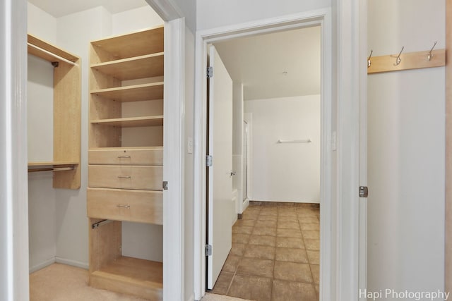 21 W Chestnut St Unit 1509, Chicago, IL 60610 - view of walk in closet