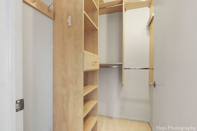 21 W Chestnut St Unit 1509, Chicago, IL 60610 - view of walk in closet