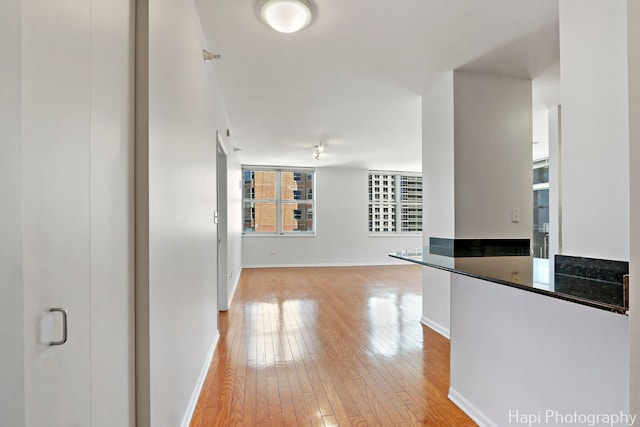 21 W Chestnut St Unit 1509, Chicago, IL 60610 - hallway featuring light wood-type flooring