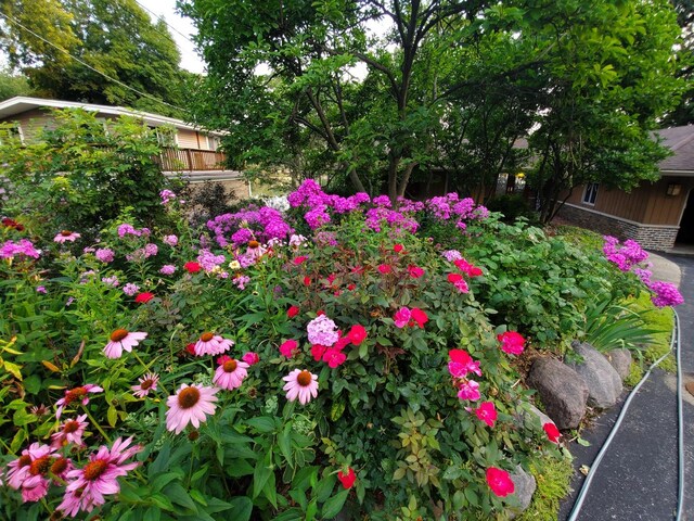 245 Banbury Rd, Mundelein, IL 60060 - view of yard