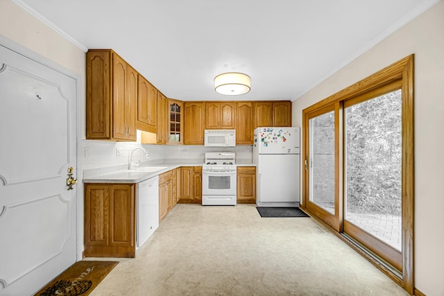 kitchen with white appliances, a sink, light countertops, brown cabinets, and healthy amount of natural light