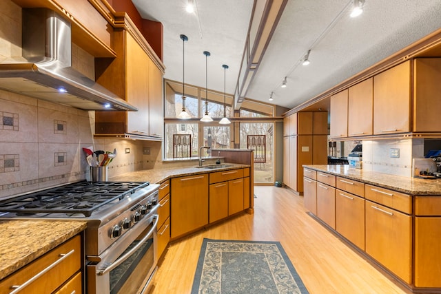 8712 W 121st St, Palos Park, IL 60464 - kitchen featuring stainless steel gas stove, wall chimney exhaust hood, a sink, a peninsula, and light wood-style flooring