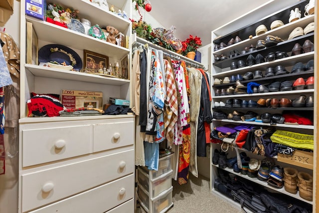 8712 W 121st St, Palos Park, IL 60464 - spacious closet featuring carpet floors