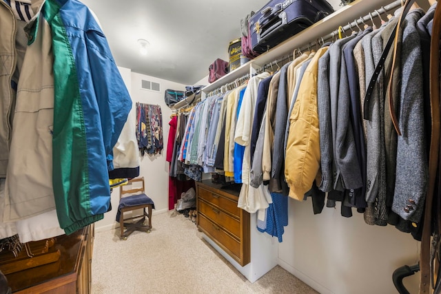 8712 W 121st St, Palos Park, IL 60464 - walk in closet with carpet